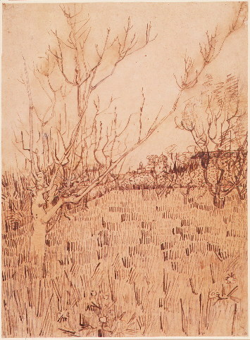 Orchard